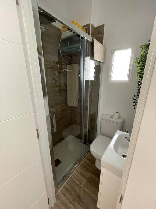 Apartmán Atico Duplex Con Terraza En Pleno Centro De Jerez Jerez de la Frontera Exteriér fotografie
